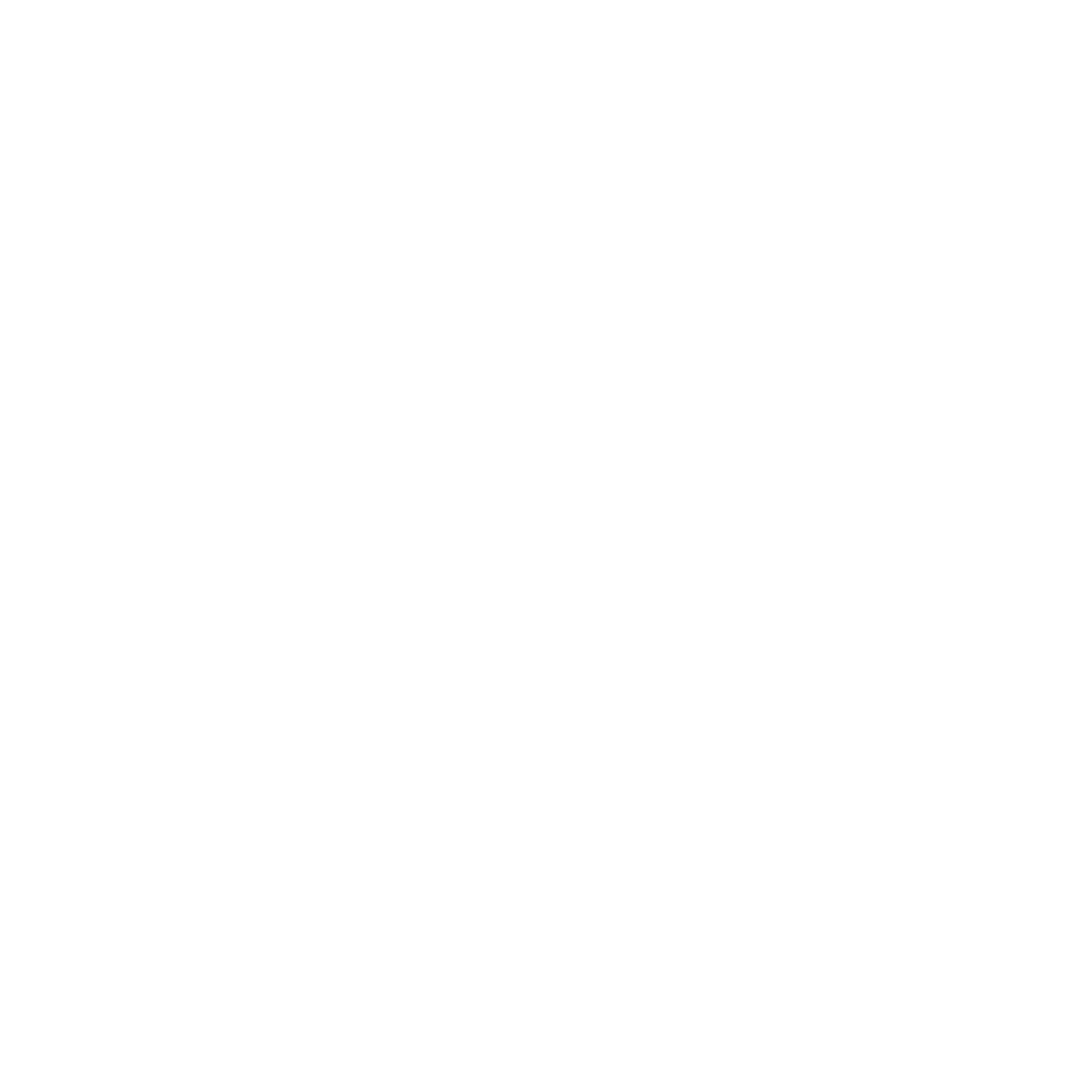 phone-white