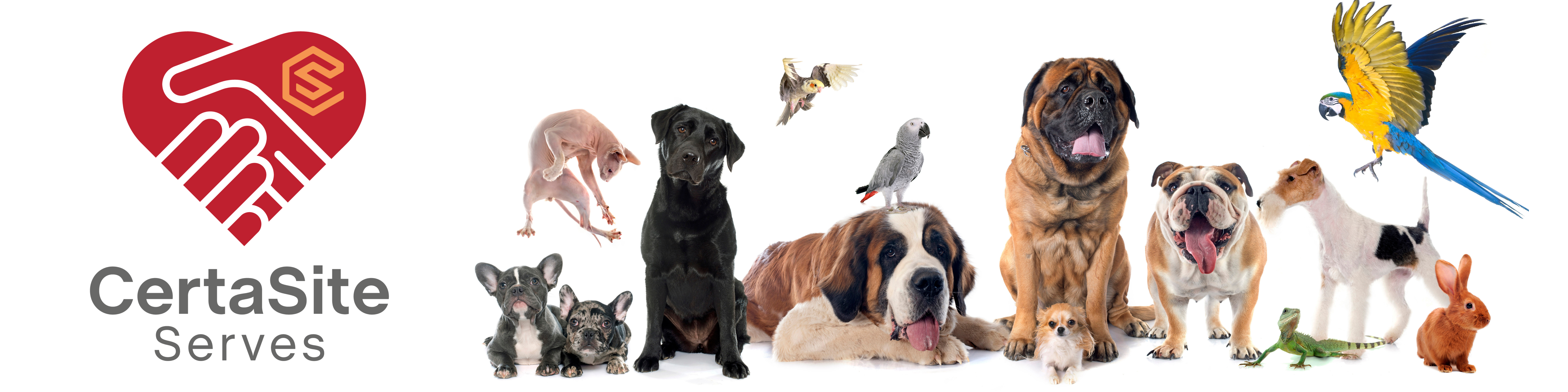 Blue and Orange Friendly Corporate Manufacturing X-Frame Banner (1)